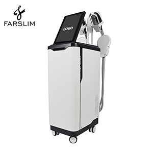 Wholesale 360°coolsculpting cryolipolysis machine cryo body slimming ems muscle stimulator for salon